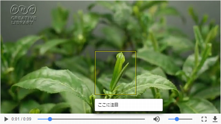 図＝お茶の芽が伸びる動画への注釈