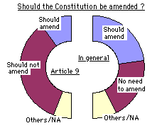  [chart:46% say some of constitution be amended, but only 20% for article 9] 